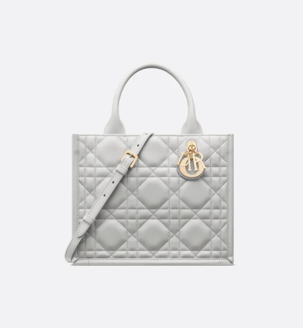 디올 스몰 Dior 북 토트백 M1325OWHP_M51G