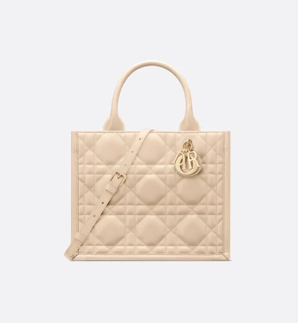 디올 스몰 Dior 북 토트백 M1325OWHP_M51U