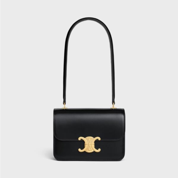 셀린느 샤이니 송아지 가죽 소재의 틴 가랑스 백 118053BF4.38NO