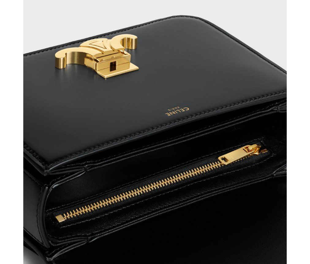 셀린느 샤이니 송아지 가죽 소재의 틴 가랑스 백 118053BF4.38NO - 이미지 3