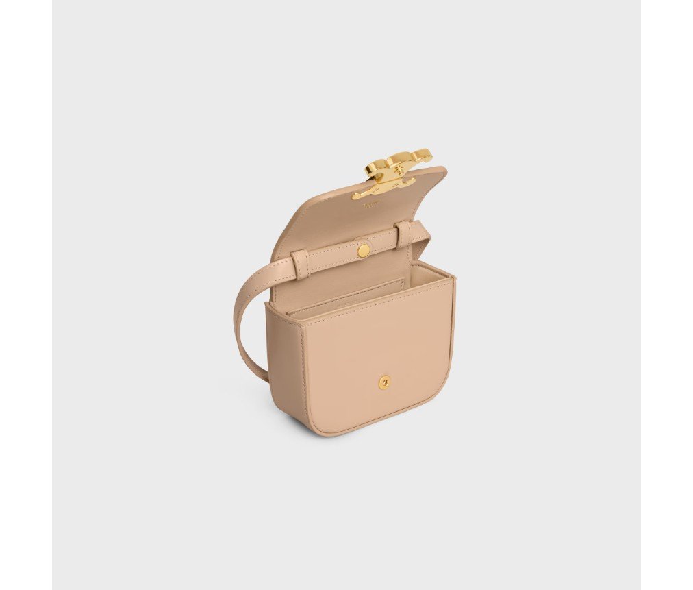 셀린느 샤이니 송아지 가죽 소재의 MINI CLAUDE 10I513DPV.02EU - 이미지 3