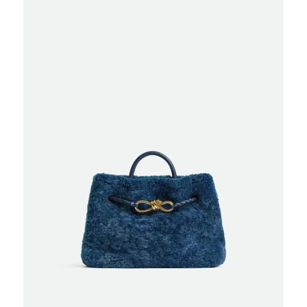 보테가 베네타 스몰 ANDIAMO 844117V5Y914314