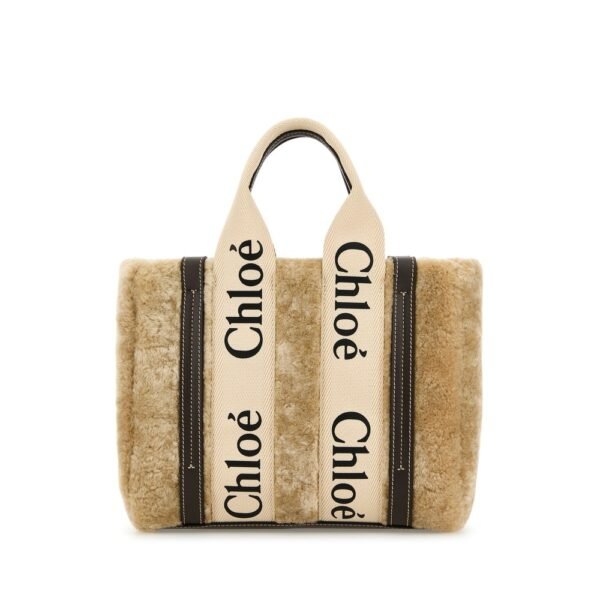 끌로에 베이지 셰어링 스몰 Woody 쇼핑백 CH25WS397Q44 24M